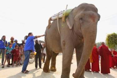 Description: karmapa animal camp