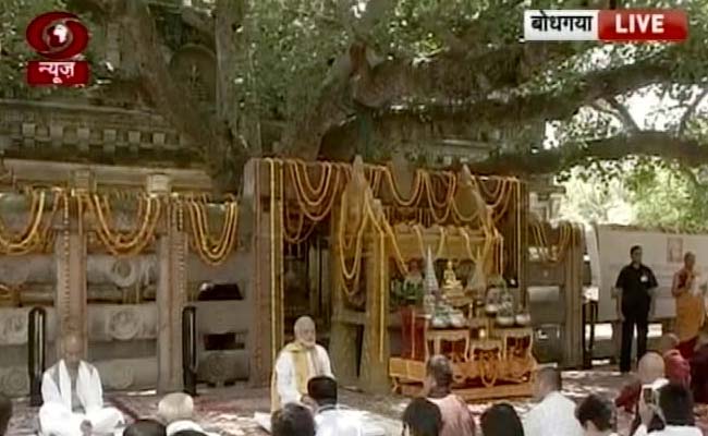 PM Narendra Modi Visits Bodhgaya, Meditates At Mahabodhi Temple