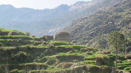 Pakistan Bazira shrine